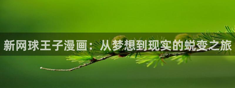 下拉观看羞羞漫画：新网球王子漫画：从梦想到现实的蜕变之旅